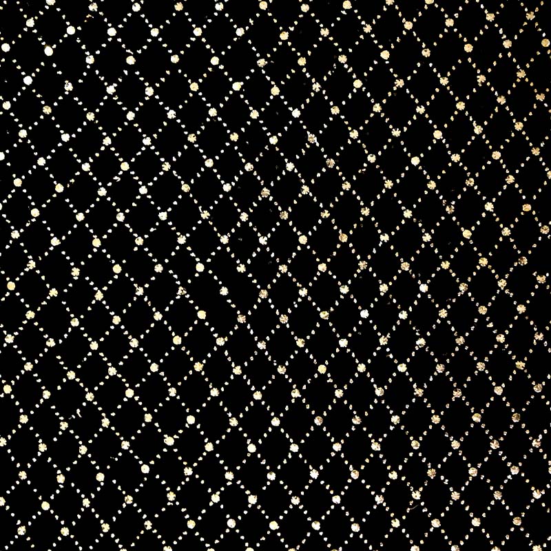 Rich Black Mukaish Viscose Parsi Work