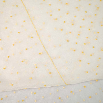 White with Yellow Pure Organza Parsi Work