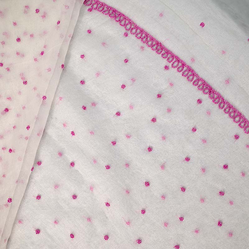 Albaster White With Pink Pure Organza Parsi Work